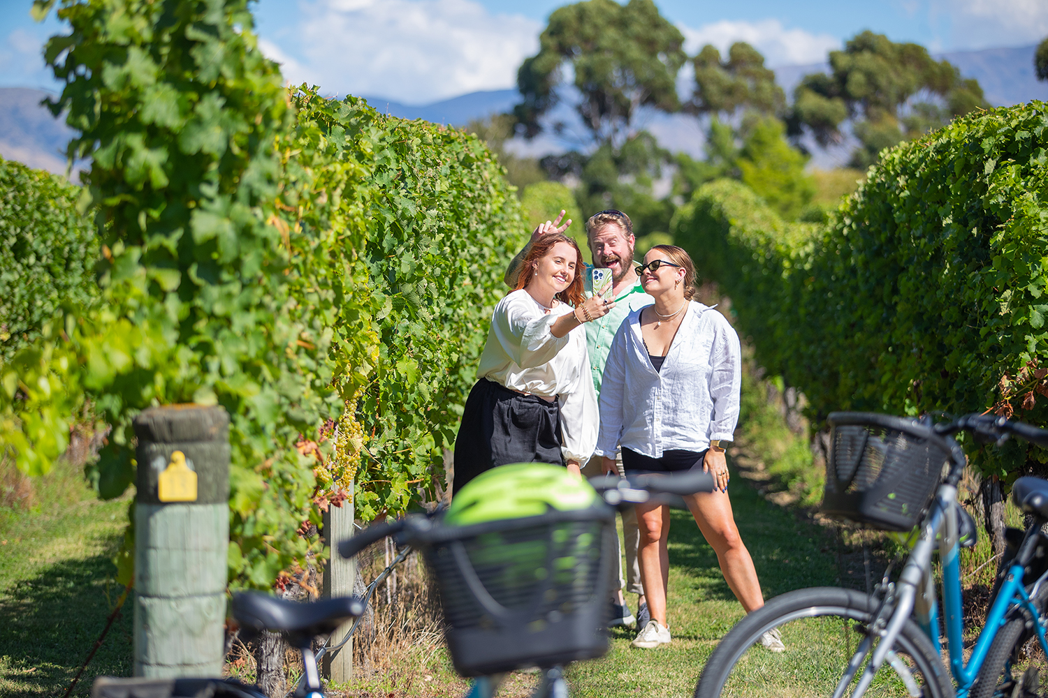 431605-wine-tours-by-bike (credit Capture Studios) Touring Marlborough wine country by bike (credit Capture Studios)